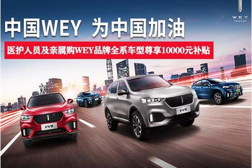 武汉汽车公园多少品牌